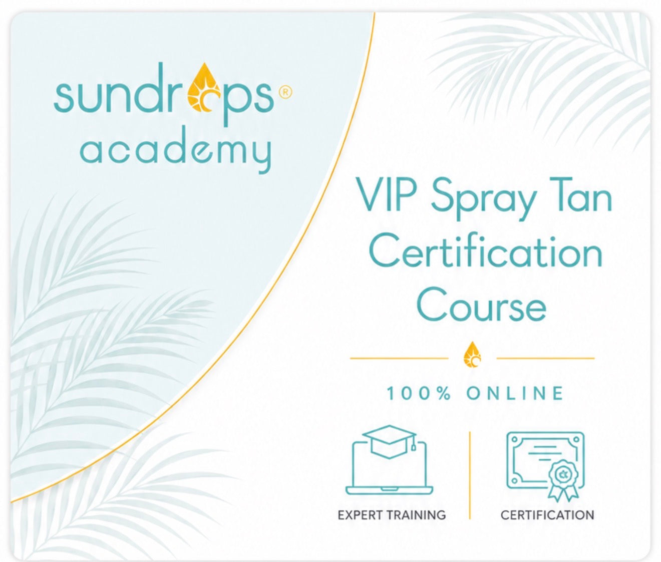 VIP Spray Tan Certification