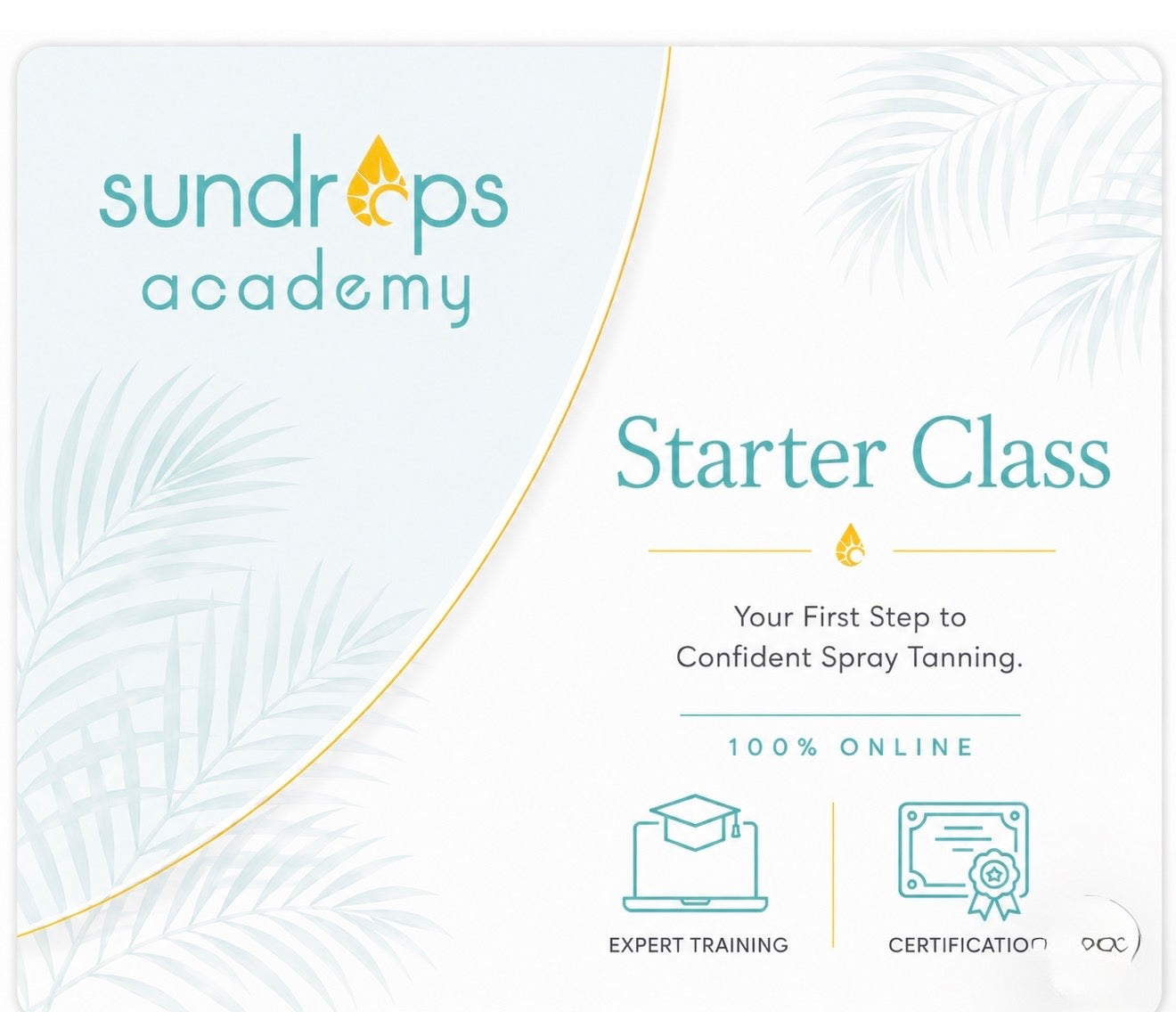 Starter Spray Tan Certification